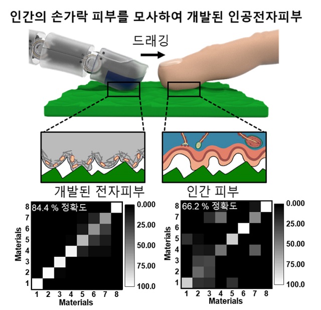 ▲ 개발된 전자 피부가 물체 표면과 접촉할 때를 나타낸 모식도 및 개발된 전자 피부와 인간 피부가 임의의 물체를 감지할 수 있는 정확도.ⓒ포스텍