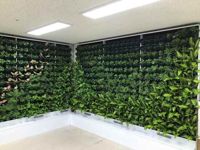 ▲ 대구시는 코로나19의 장기화로 지친 의료진과 피로감을 느끼는 시민들이 실내 녹색공간에서 휴식과 심신안정을 취할 수 있는 스마트 가든 5개소를 최근 설치를 완료했고 올해는 25개소로 확대해 설치한다.ⓒ대구시