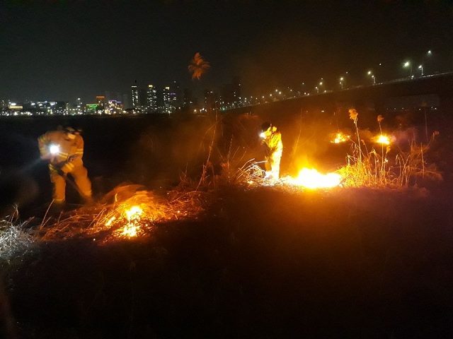 ▲ 7일 오후 8시 10분부터 30분여 사이 세종시 대평동과 나성동 일대 금강 수변 갈대밭에서 방화로 추정되는 화재 3건이 동시에 불이 나 소방대원들이 진화 작업을 벌이고 있다.ⓒ세종소방본부