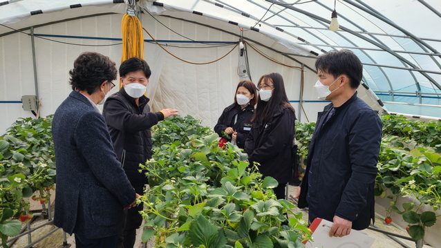 ▲ 예천군농업기술센터(소장 성백경)가 딸기, 토마토 스마트팜 도입‧희망 농가를 대상으로 작물 재배, 환경관리 방법 등 1대1 맞춤형 현장 컨설팅을 진행했다.ⓒ예천군