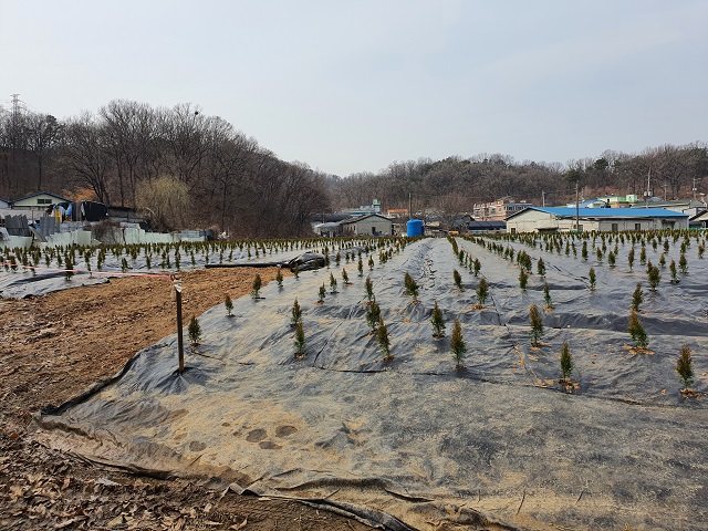 ▲ LH 직원이 투기한 것으로 의심되는 땅에 묘목이 심어져 있다.ⓒ공공주택지구 전국연대 대책협의회