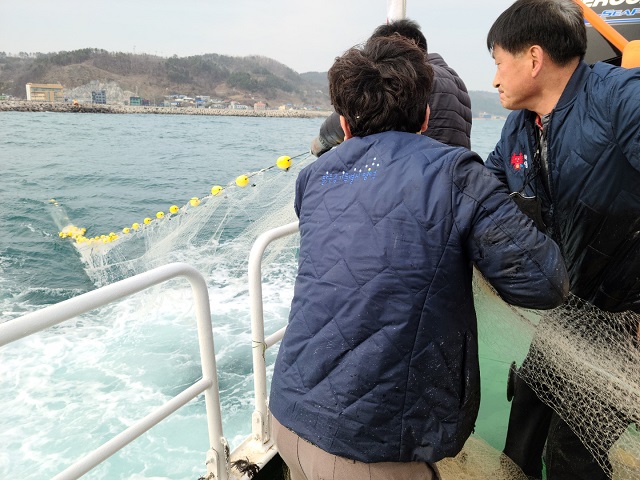 ▲ 영덕군 다목적어업지도선 영덕누리호가 폐그물을 수거하고 있다.ⓒ영덕군