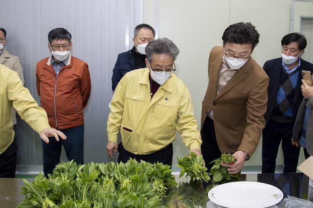 ▲ 울릉군은 울릉도 부지갱이 선도유지 유통 시범사업 시연회를 개최했다.ⓒ울릉군