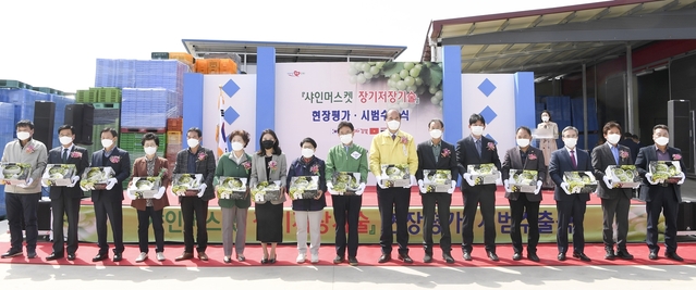 ▲ 경상북도농업기술원은 19일 상주시 모동면 에이플영농조합에서 이철우 경북도지사, 강영석 상주시장 등 50명이 참석한 가운데 ‘포도 샤인머스켓의 장기저장기술’에 대한 현장평가와 시범수출식을 개최했다.ⓒ경북도