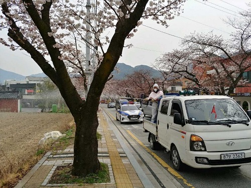 ▲ 공주시가 지난해 계룡산 벚꽃관련, 방역활동을 하고 있다.ⓒ공주시