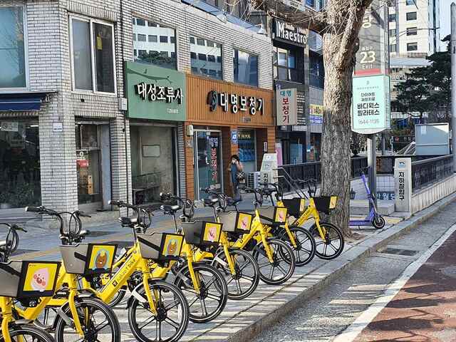 ▲ 최근 공유 교통문화 확산으로 공유자전거, 전동킥보드 등 공유형 이동수단의 인도 점유로 인한 안전사고, 보행자 통행불편 등이 우려됨에 따라 대구시는 공유자전거 이용자 및 보행자 안전 증진을 위한 안전대책을 마련해 시행한다.ⓒ대구시