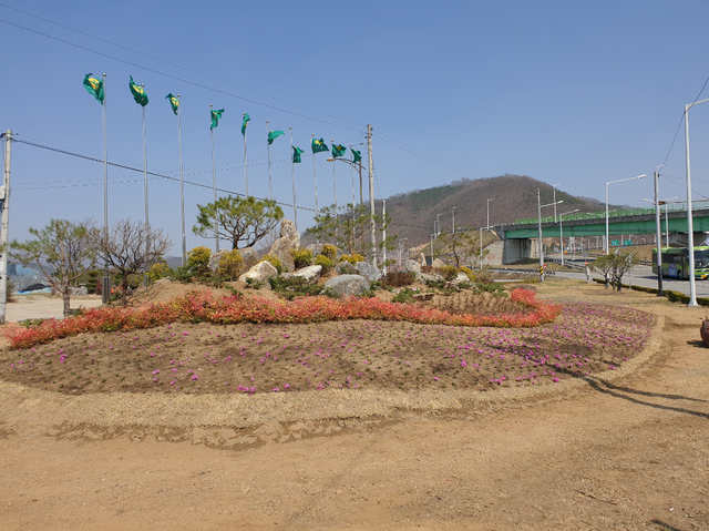 ▲ 성주군 성주읍의 관문인 새마을공원을 소나무와 야생화 등 관목과 꽃의 조화로운 동산으로 새롭게 탄생했다.ⓒ성주군