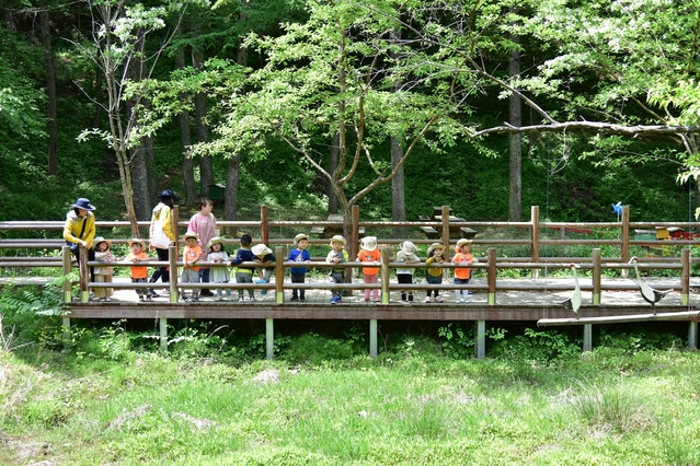▲ 청송군(군수 윤경희)은 이달부터 청송 관내의 유치원 및 어린이집을 대상으로 산림교육서비스를 제공하는 ‘청송 유아숲 체험원’을 운영한다.ⓒ청송군