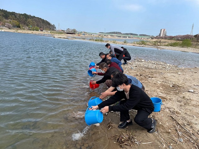 ▲ 울진군(군수 전찬걸)은 울진군낚시협회 회원과 함께 왕피천에서 어린 은어를 방류하고 있다.ⓒ울진군