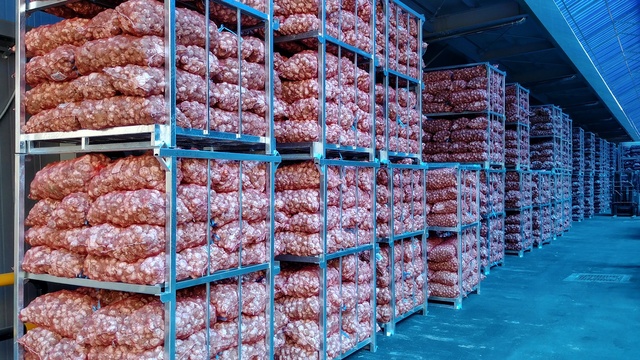 ▲ 영천시(시장 최기문)는 한방·마늘 산업특구를 신청해 최종 지정됐다.ⓒ영천시