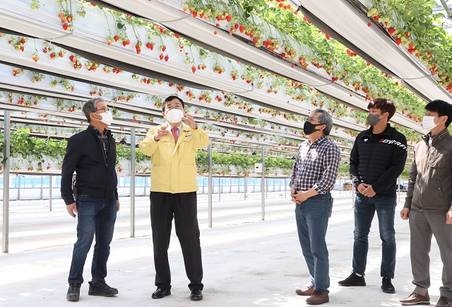 ▲ 주낙영 시장이 딸기 재배농가를 방문해 어려운 여건 속에서도 값진 수확을 일궈낸 노고를 격려하고 애로사항을 청취하는 시간을 가졌다.ⓒ경주시