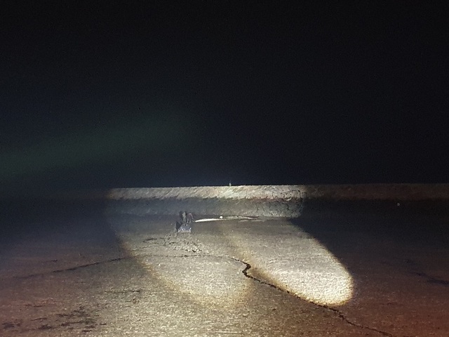 ▲ 충남소방본부 소속 119 구급대원이 갯벌에 빠진 남성을 구조하기 위해 기어가고 있다.ⓒ충남소방본부