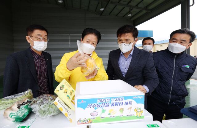 ▲ 성주군은 지난해 성주참외 50년을 기념하고, 미래 50년을 준비하기 위해 성주참외 BI 및 디자인 개발용역을 통해 새로운 로고, 캐릭터, 포장재를 개발했다.ⓒ성주군