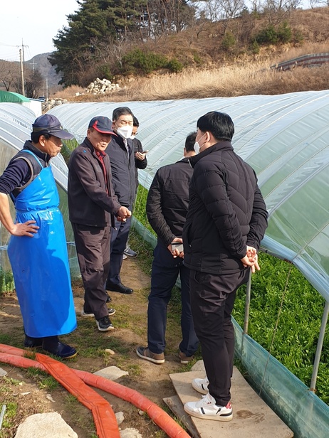 ▲ 청도농협은 지난 3일부터 일주일간 인천검단농협에 한재미나리 2t을 직거래 판매하는 쾌거를 달성했다.ⓒ청도농협