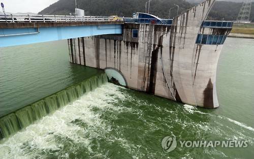 ▲ 녹조 낀 창녕함안보.ⓒ연합뉴스