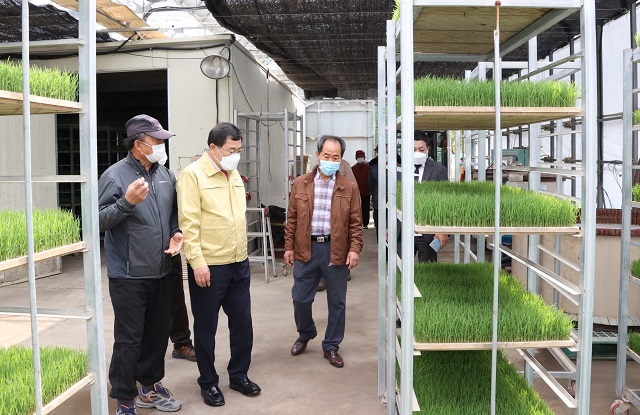 ▲ 주낙영 시장은 안강 벼 육묘 파종 현장을 방문했다.ⓒ경주시
