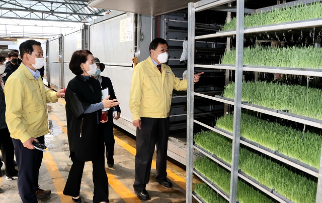 ▲ 주낙영 시장이 강동 안계리 소재 새싹귀리 농장(산들향 농원)을 방문해 새싹귀리 생산현장과 볍씨 파종 현장을 둘러보고 있다.ⓒ경주시
