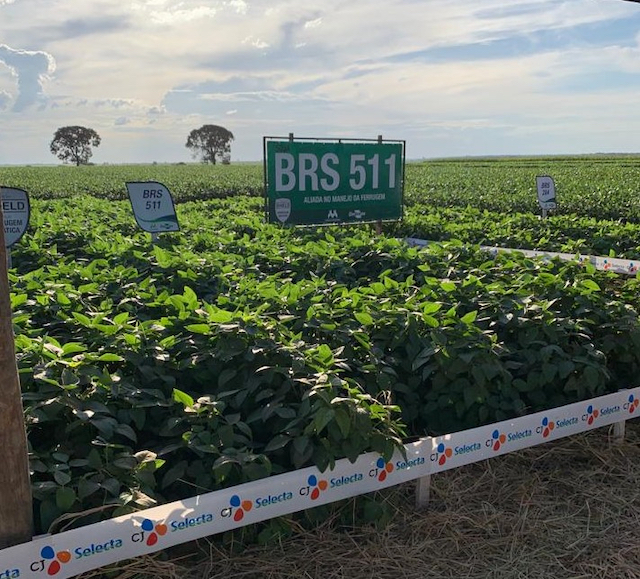 ▲ ⓒCJ제일제당