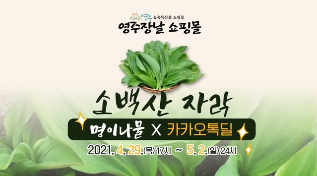 ▲ 경북 영주시(시장 장욱현)는 29일부터 다음 달 2일까지 ‘소백산자락 명이나물’의 카카오톡 쇼핑하기 톡딜을 진행한다.ⓒ영주시