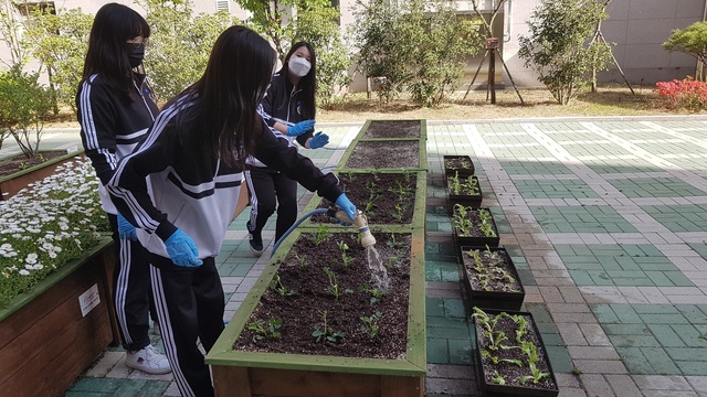 ▲ 달성군(군수 김문오)은 4월 26일부터 30일까지 학교4-H회원 290여 명을 대상으로 ‘2021년 학교4-H 비대면 텃밭가꾸기 교육’을 실시했다.ⓒ달성군