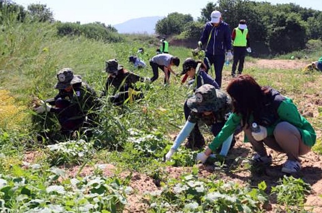 ▲ 대구시는 이달 6일부터 생태계교란생물 퇴치를 위해 사업비 1천 5백만 원을 투입해 구·군 환경부서에서 블루길·배스 등에 대한 수매사업을 실시하고, 가시박 제거사업도 5월부터 10월까지 종자 결실 전 집중·반복할 계획이다.ⓒ대구시
