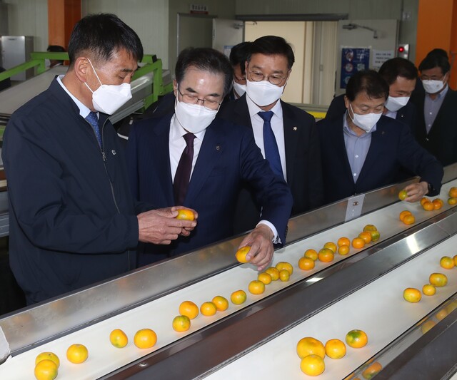 ▲ 이성희 농협회장(왼쪽에서 두번째)가 제주지역에서 현장경영에 나서고 있다.ⓒ농협중앙회