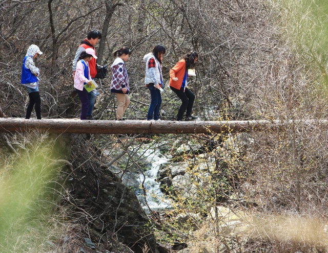 ▲ 경북 영양군(군수 오도창)은 국가균형발전위원회(위원장 김사열)가 주관하는 시군구 지역혁신협의회 우수과제 지원 공모사업에 신청한 ‘지역주민 디지털콘텐츠 전환 및 지역경제 활성화’ 과제가 최종 선정돼 국비 3400만 원을 확보했다.ⓒ영양군