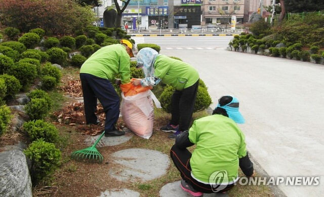 ▲ 재정 투입 노인일자리.ⓒ연합뉴스