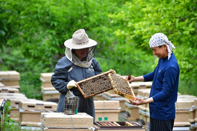 ▲ 박태준(48)·이인자(41)씨 부부는 아카시아 꽃이 만발한 이서면 칠곡리에서 미소를 지으며 꿀농사에 구슬땀을 흘리고 있다.ⓒ청도군