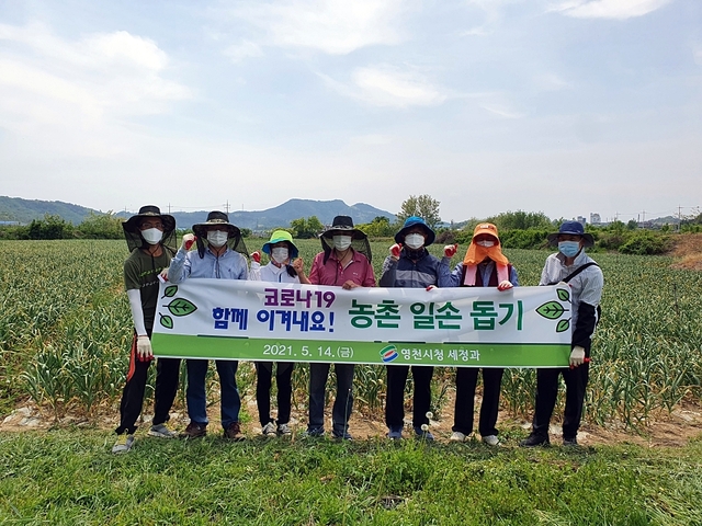 ▲ 지난 14일 영천시(시장 최기문) 세정과, 지적정보과, 서부동 직원 각 10여 명은 코로나19 장기화로 인해 일손 부족으로 어려움을 겪는 청통면 계지리, 화룡동, 서산동 농가를 찾아 손 보태기에 나섰다.ⓒ영천시