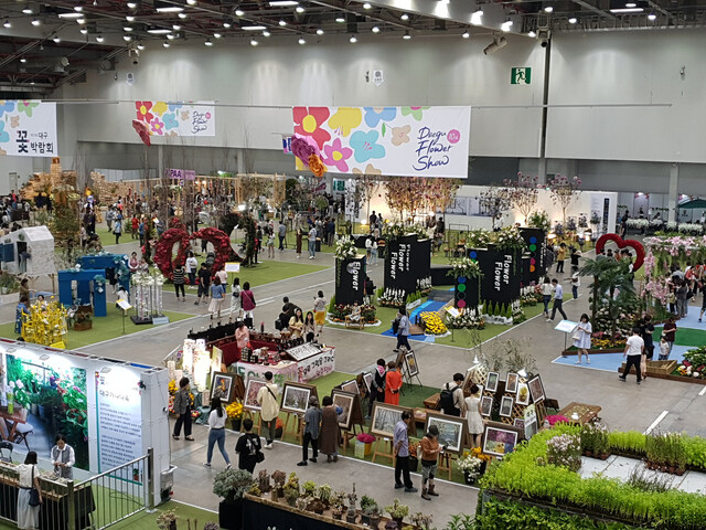 ▲ 대구시는 코로나19 여파로 일상에서 지친 시민들을 위해 오는 27일부터 4일간 EXCO 동관에서 ‘꽃으로 힐링하다’라는 주제로 제12회 대구 꽃박람회를 개최한다.ⓒ대구시