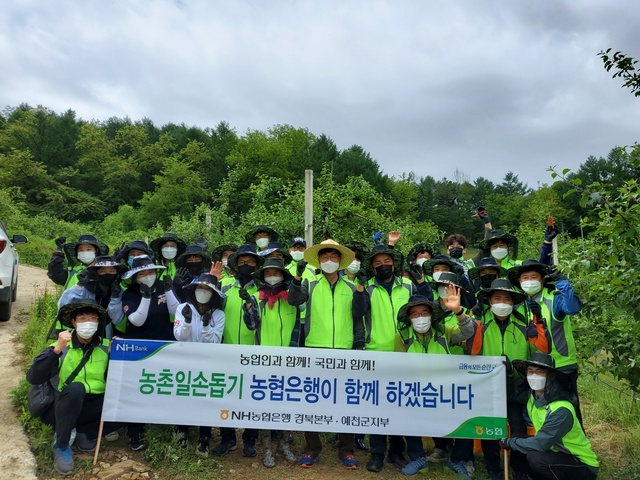 ▲ NH농협은행 경북본부(본부장 금동명) 행복채움봉사단과 NH농협 예천군지부 직원, 농협은행 대학생 봉사단(N돌핀) 등 30여 명은 25일 본격적인 영농철을 맞아 예천군 은풍면 탑리의 사과농가를 찾아 적과 작업과 농장주변 영농폐자재 수거 작업을 실시했다.ⓒNH농협은행