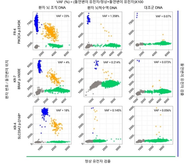 ▲ KAIST 의과학대학원 이정호 교수팀이 검출한 디지털 중합효소 연쇄반응을 통해 세 환자의 뇌척수액에서 발견된 병인 돌연변이.ⓒKAIST