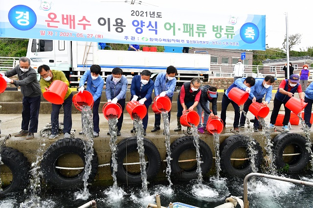 ▲ 월성원자력본부(본부장 원흥대)는 제26회 바다의 날을 기념해 경주시 양남면 수렴항구와 인근연안에서 원전 온배수를 이용해 양식한 강도다리 치어 10만미, 전복 치패 9만미 방류하고 있다.ⓒ월성본부