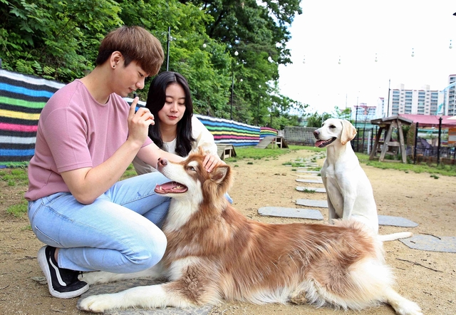 ▲ 영진전문대가 반려동물 전문가를 양성한다는 야심찬 목표로 2022학년도에 ‘펫케어과’를 신설하고 양성에 나선다. 사진은 이 대학교 펫케어과 관련 이미지.ⓒ영진전문대