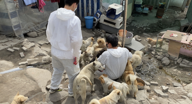 ▲ 달성군청소년센터는 최근 사회적 이슈로 대두되고 있는 유기견에 대한 보호 봉사활동을 주제로 ‘도와줄 개, 함께할 개’ 영상을 박람회 기간동안 송출했다.ⓒ달성군청소년센터