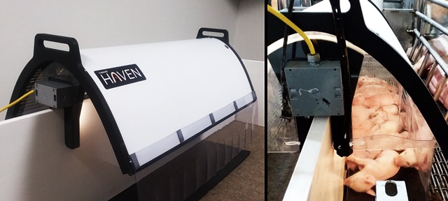 ▲ 바이오레즈 기술이 적용된 파프로의 비타라이트. ⓒ서울바이오시스