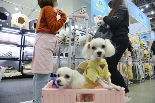 ▲ ‘제17회 대구펫쇼’는 코로나19로 인해 2년만에 열리는 상반기 행사로 엑스코 1층 1, 2홀 (1만 5㎡)에서 개최된다.ⓒEXCO
