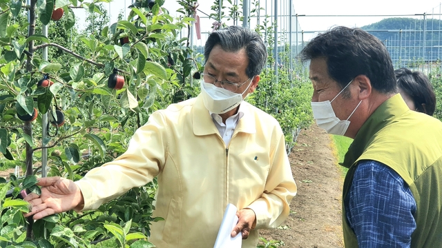 ▲ 오도창 영양군수(왼쪽)는 “이번 행정명령은 코로나19 때문에 힘든 시기에 화상병까지 확산될 우려를 막고 지역 과수 농가를 지키기 위한 선제적 조치이며 화상병 청정지역으로 계속 지켜나가겠다”며 말했다.ⓒ영양군