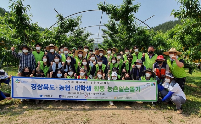 ▲ 경상북도는 농협과 안동대학교와 함께 지난 9일 농번기 인력난을 겪고 있는 농촌을 찾아 봉사활동을 펼쳤다.ⓒ경북도