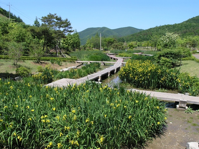 ▲ 경상북도수목원은 최근 코로나19 시대에 힐링의 장으로 다시금 부각되고 있다.ⓒ경북도