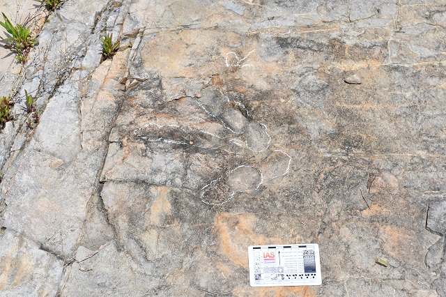 ▲ 의성군 의성읍 남대천 육식공룡 발자국 화석.ⓒ의성군