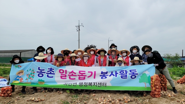 ▲ 달성군 하빈면행정복지센터(면장 권성열) 직원 15명은 15일 하빈면 봉촌리 양파재배농가에서 농촌일손돕기를 실시했다.ⓒ달성군