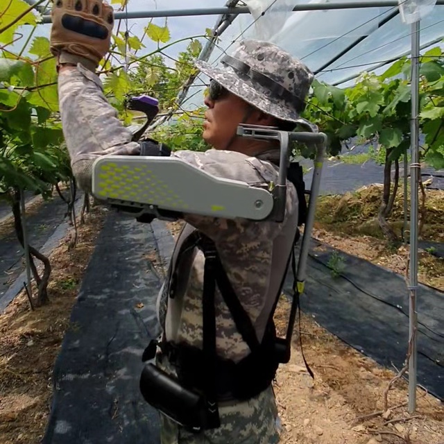 ▲ 어깨 보조용 웨어러블 슈트 '벡스'를 착용한 농업인이 포도 가지 결속작업을 하고 있다. ⓒ팜한농