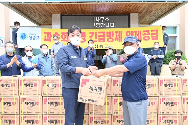 ▲ 청송군(군수 윤경희)은 과수화상병의 지역 유입 차단을 위해 지난 16일 예방 약제를 읍·면사무소 및 각 마을 이장들을 통해 사과, 배 재배 농가(4195호, 3437ha)에 대해 모두 공급했다.ⓒ청송군