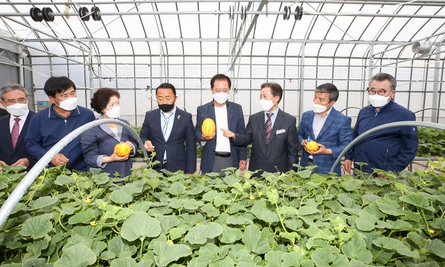 ▲ 경상북도의회 농수산위원회(위원장 남진복)는 6월 16일부터 17일까지 이틀에 걸쳐 포스트코로나시대 화훼류 및 과채류 농가 소득증대를 위해 관련 연구소의 주요업무 추진 상황을 파악하고 연구 현장의 애로사항을 청취하는 한 걸음 더 다가가는 의정활동을 펼쳤다.ⓒ경북도의회