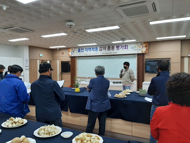 ▲ 울진지역에 적합한 경쟁력있는 신품종 감자 품종 선발을 위한 평가회를 개최했다.ⓒ울진군