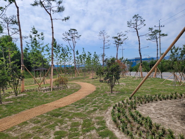 ▲ 김천시는 정부의 그린뉴딜 사업의 일환인 미세먼지 차단숲 조성사업을 지난 2020년부터 올해까지 2년 차 계획으로 약 4ha 면적의 차단숲 조성을 시행하고 있다.ⓒ김천시