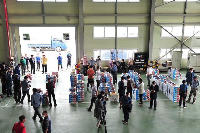 ▲ 군위농산물공판장 개장하고 자두를 첫 출하 했다.ⓒ군위군