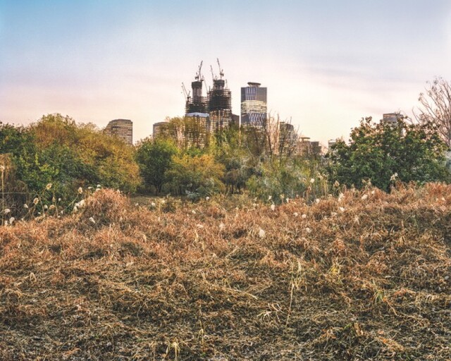 ▲ 밤섬에서 본 도시의 모습.ⓒ김승구 사진작가